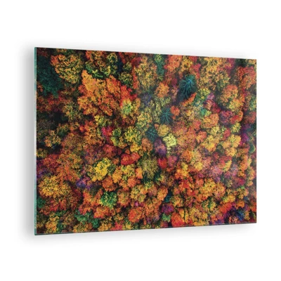 Impression sur verre - Image sur verre - Bouquet d'arbres automnal - 70x50 cm