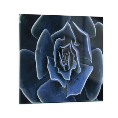 Impression sur verre - Image sur verre - Fleur du désert - 50x50 cm