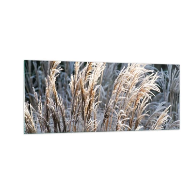 Impression sur verre - Image sur verre - Habillé de givre - 100x40 cm