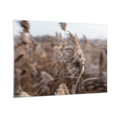 Impression sur verre - Image sur verre - Il est temps de s'envoler avec le vent - 100x70 cm