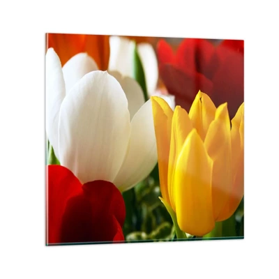 Impression sur verre - Image sur verre - La fièvre des tulipes - 30x30 cm