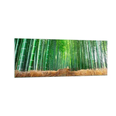 Impression sur verre - Image sur verre - L'essence de la nature asiatique - 140x50 cm