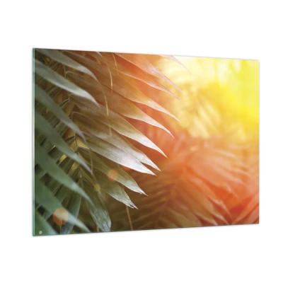 Impression sur verre - Image sur verre - Matinée dans la jungle - 100x70 cm
