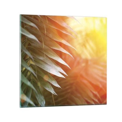Impression sur verre - Image sur verre - Matinée dans la jungle - 70x70 cm