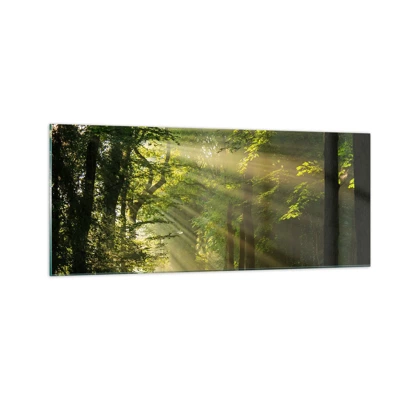 Impression sur verre - Image sur verre - Moment de forêt - 100x40 cm