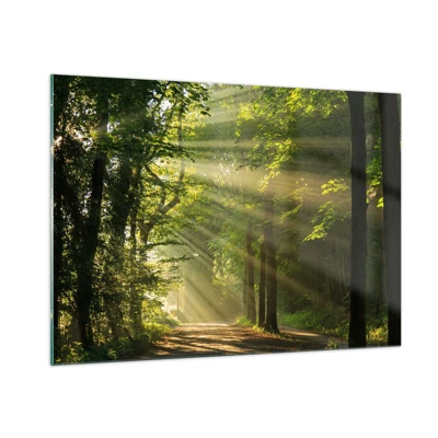 Impression sur verre - Image sur verre - Moment de forêt - 100x70 cm