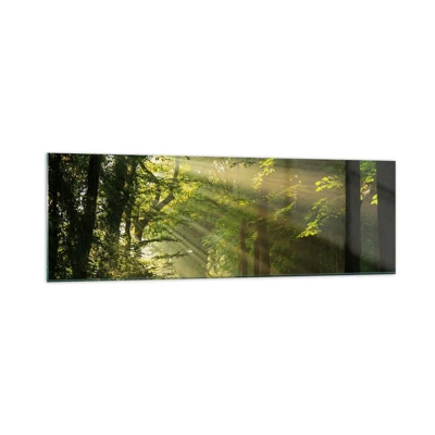 Impression sur verre - Image sur verre - Moment de forêt - 160x50 cm