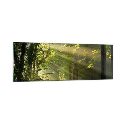 Impression sur verre - Image sur verre - Moment de forêt - 90x30 cm