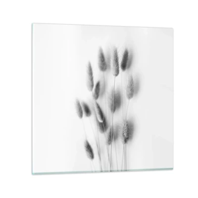 Impression sur verre - Image sur verre - Son herbe duveteuse - 60x60 cm