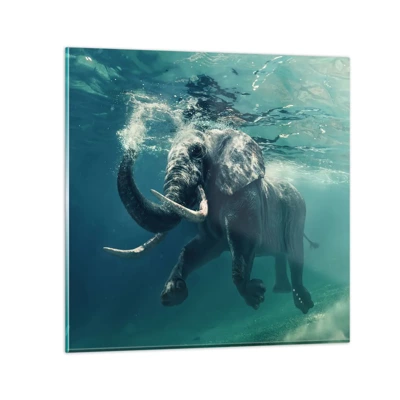 Impression sur verre - Image sur verre - Tout le monde aime nager - 30x30 cm