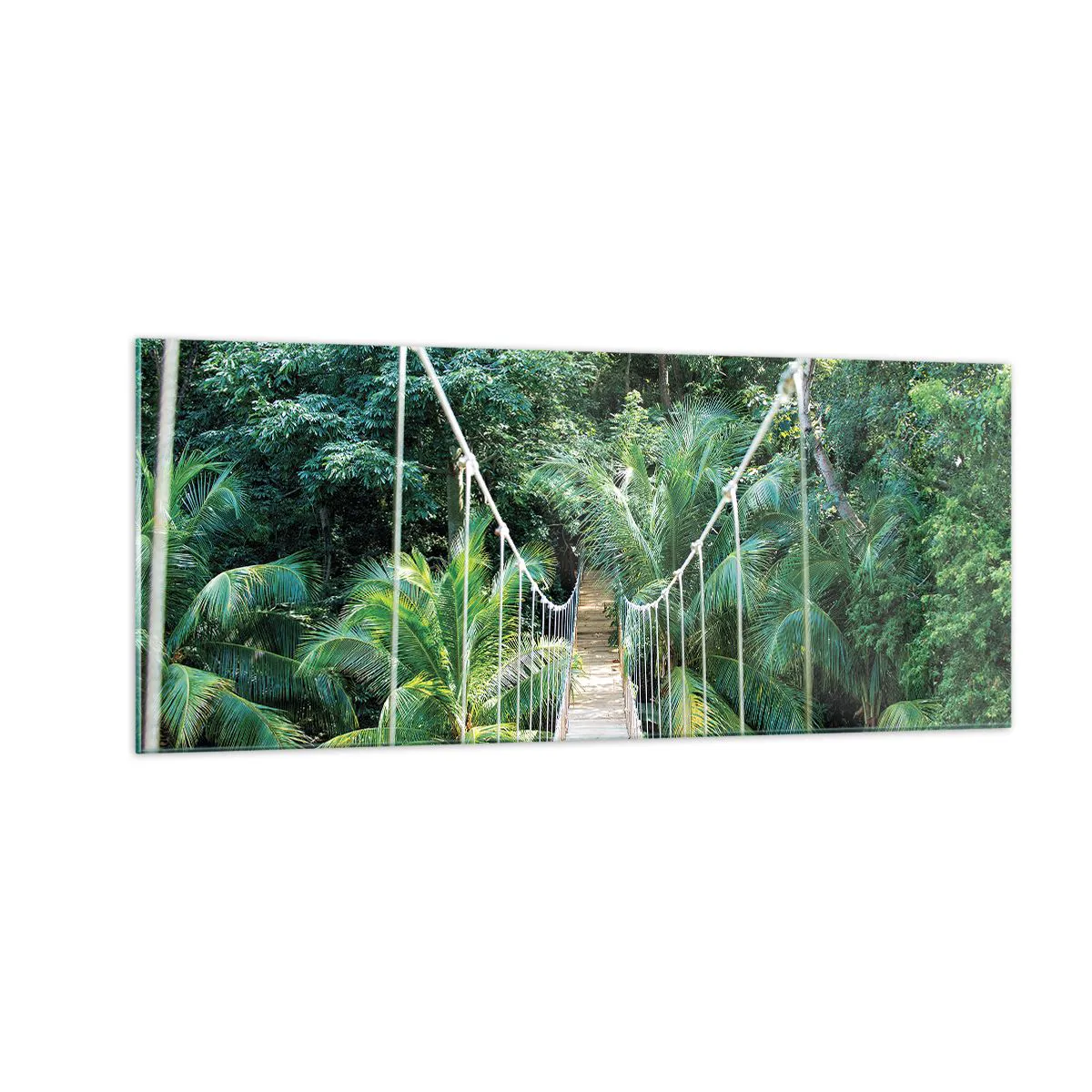Impression sur verre, Image sur verre Arttor 100x40 cm - Welcome to the jungle! - Paysage, Jungle, Honduras, Pont Suspendu, La Nature, Pour le salon, Pour la chambre, Blanc, Marron, Horizontal, Verre, GAB100x40-4963