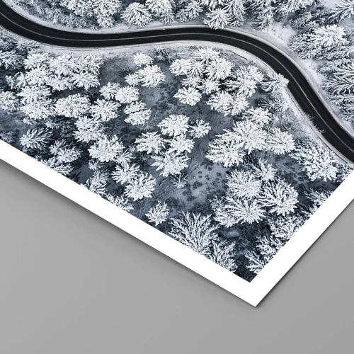 Affiche - Poster - À travers une forêt d'hiver - 100x70 cm