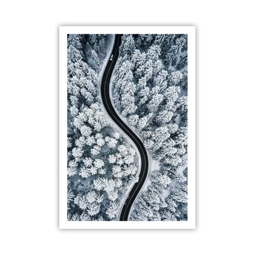 Affiche - Poster - À travers une forêt d'hiver - 61x91 cm