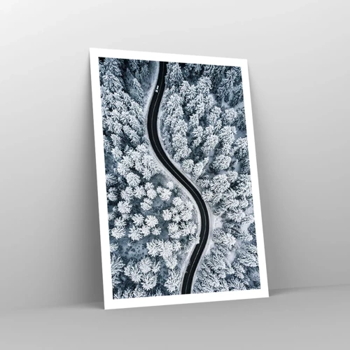 Affiche - Poster - À travers une forêt d'hiver - 70x100 cm