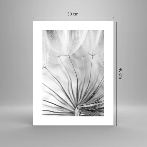 Affiche - Poster - Aigrette avant son envol - 30x40 cm