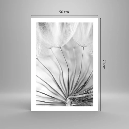 Affiche - Poster - Aigrette avant son envol - 50x70 cm