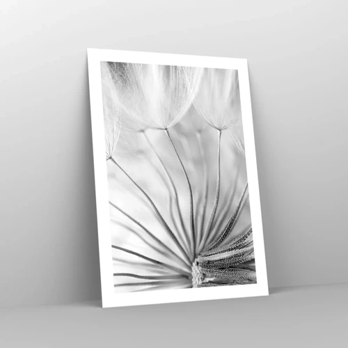 Affiche - Poster - Aigrette avant son envol - 50x70 cm