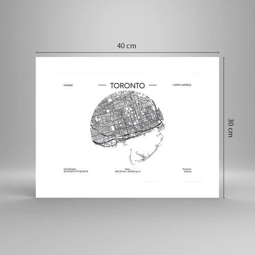 Affiche - Poster - Anatomie de Toronto - 40x30 cm