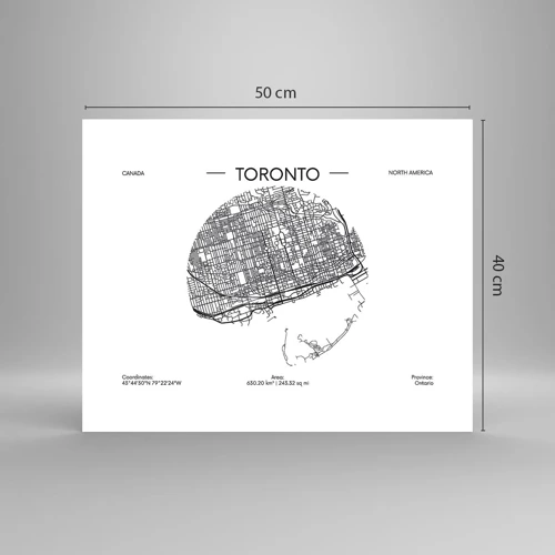 Affiche - Poster - Anatomie de Toronto - 50x40 cm