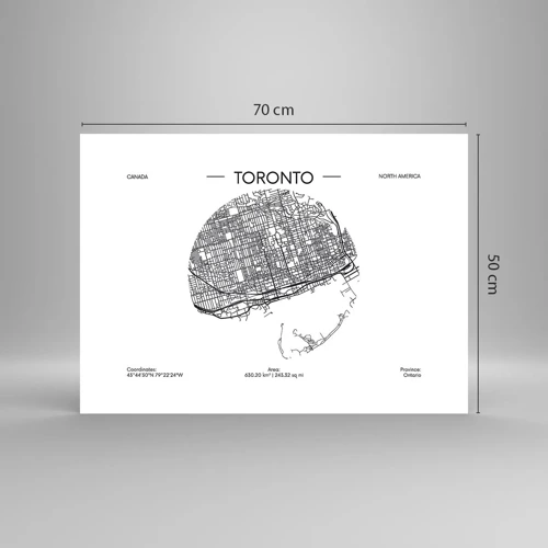 Affiche - Poster - Anatomie de Toronto - 70x50 cm