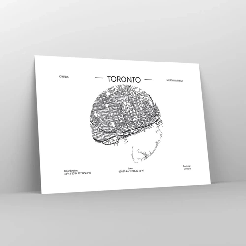 Affiche - Poster - Anatomie de Toronto - 70x50 cm