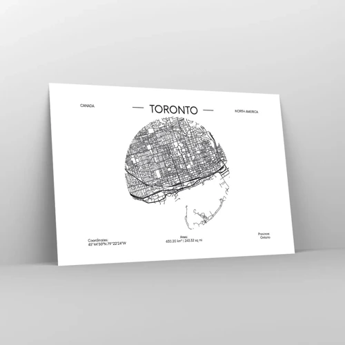 Affiche - Poster - Anatomie de Toronto - 91x61 cm