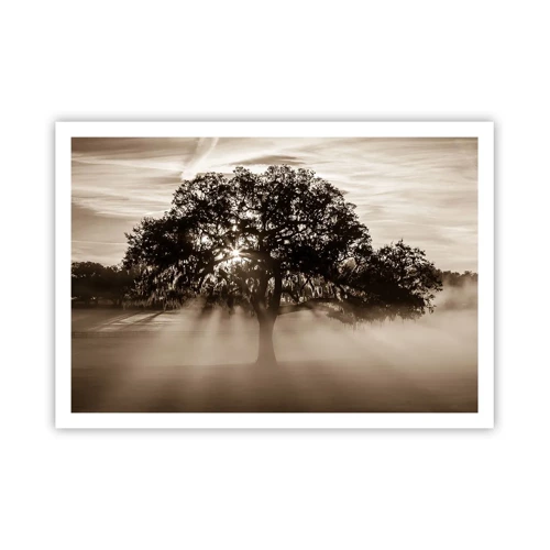 Affiche - Poster - Arbre de bonnes nouvelles - 100x70 cm