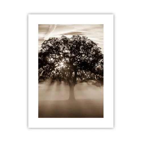 Affiche - Poster - Arbre de bonnes nouvelles - 30x40 cm