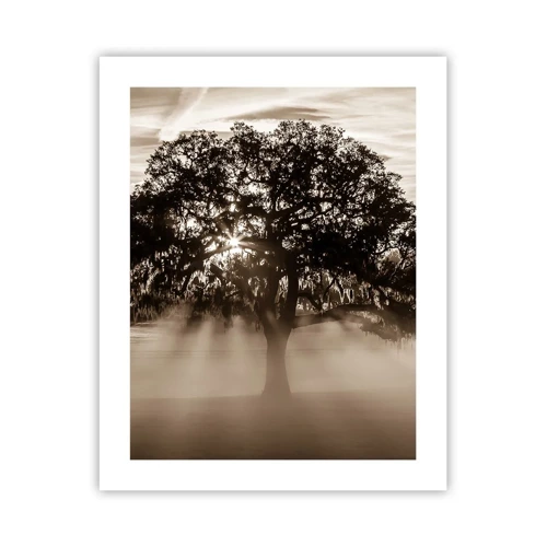 Affiche - Poster - Arbre de bonnes nouvelles - 40x50 cm