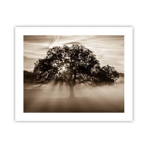 Affiche - Poster - Arbre de bonnes nouvelles - 50x40 cm