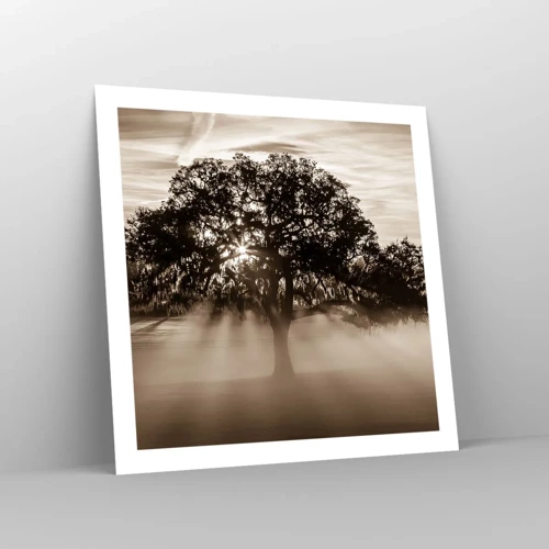 Affiche - Poster - Arbre de bonnes nouvelles - 60x60 cm