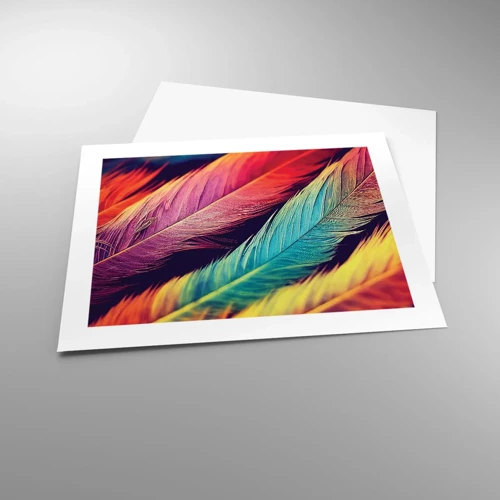 Affiche - Poster - Arc-en-ciel de plumes - 50x40 cm