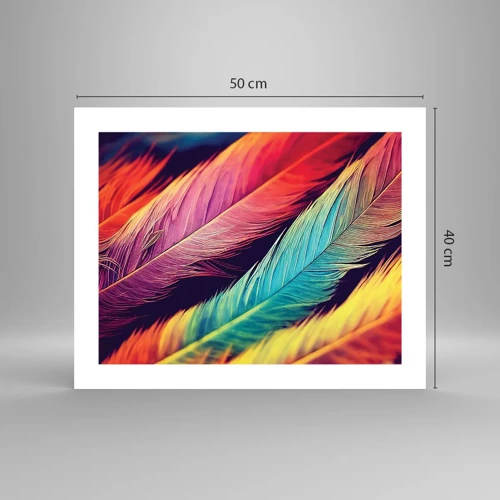 Affiche - Poster - Arc-en-ciel de plumes - 50x40 cm