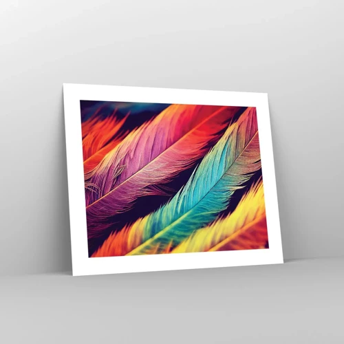 Affiche - Poster - Arc-en-ciel de plumes - 50x40 cm