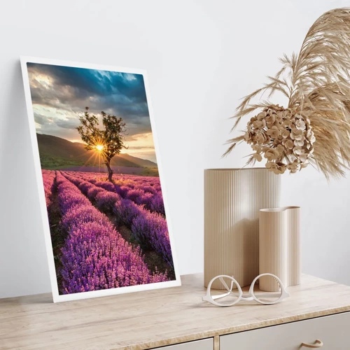 Affiche - Poster - Arôme de couleur lilas - 30x40 cm