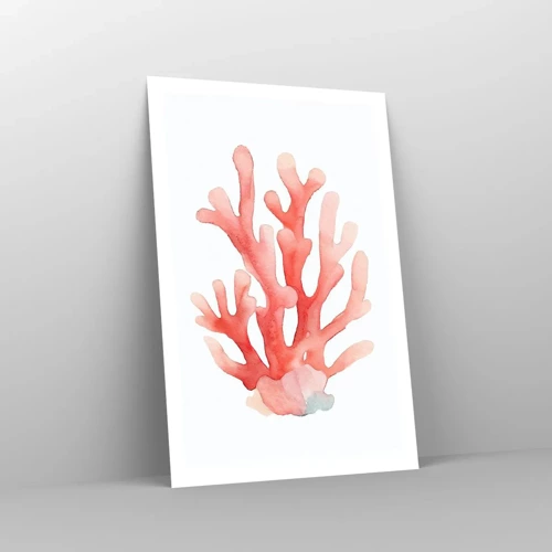 Affiche - Poster - Corail couleur corail - 61x91 cm