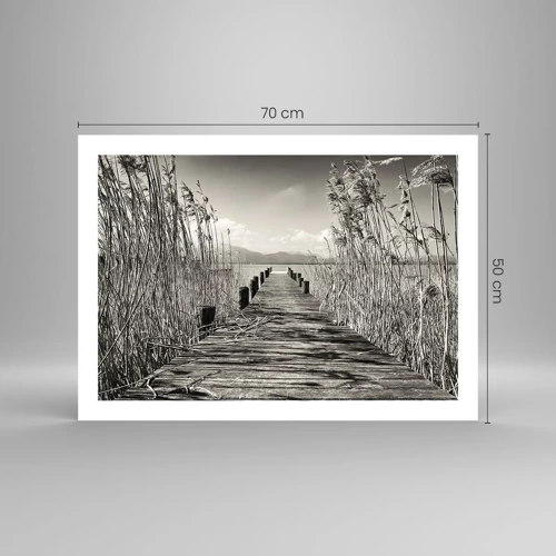 Affiche - Poster - Dans le calme de l'herbe - 70x50 cm