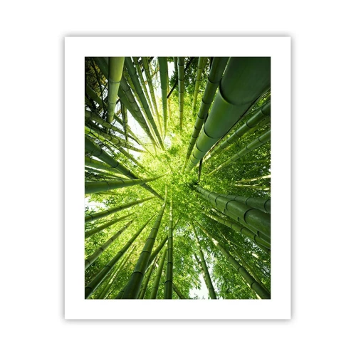 Affiche - Poster - Dans une bambouseraie - 40x50 cm