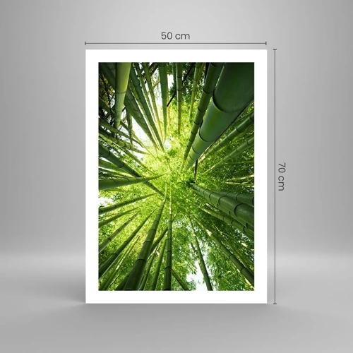 Affiche - Poster - Dans une bambouseraie - 50x70 cm