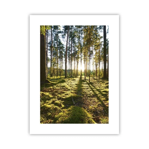 Affiche - Poster - … Derrière les sept forêts - 30x40 cm