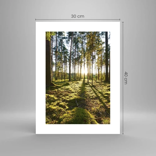 Affiche - Poster - … Derrière les sept forêts - 30x40 cm