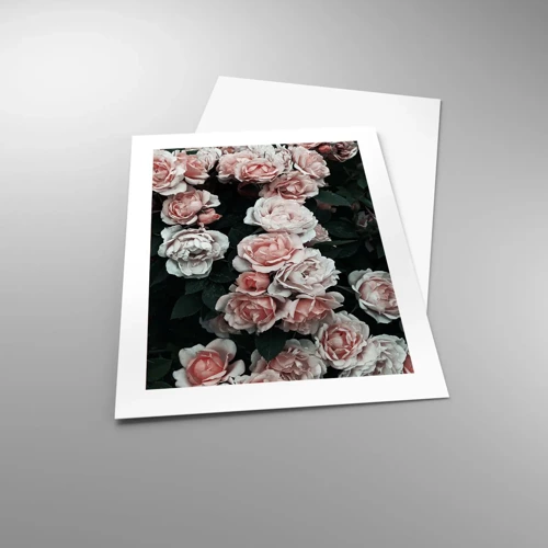 Affiche - Poster - Ensemble de rose - 40x50 cm