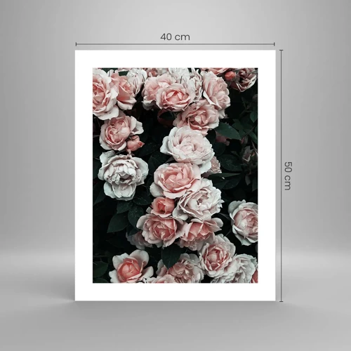 Affiche - Poster - Ensemble de rose - 40x50 cm