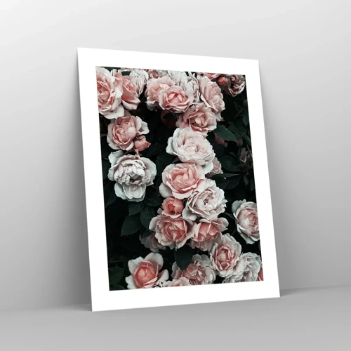 Affiche - Poster - Ensemble de rose - 40x50 cm