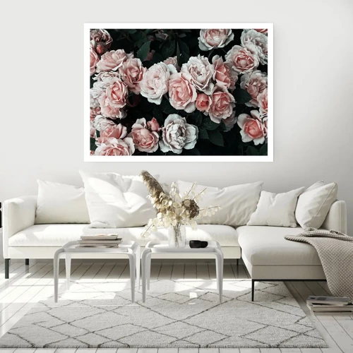 Affiche - Poster - Ensemble de rose - 50x40 cm