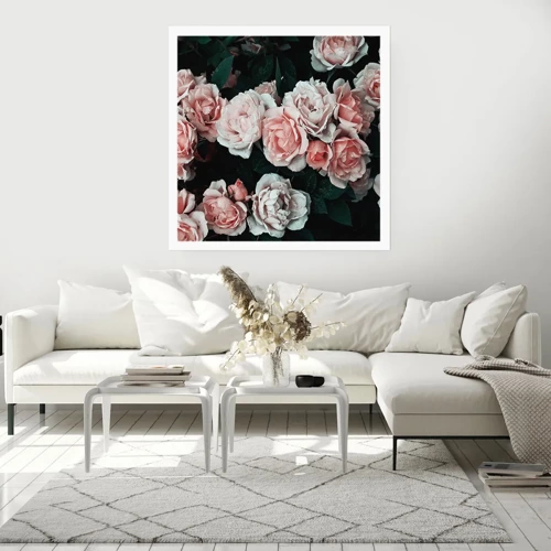 Affiche - Poster - Ensemble de rose - 50x50 cm