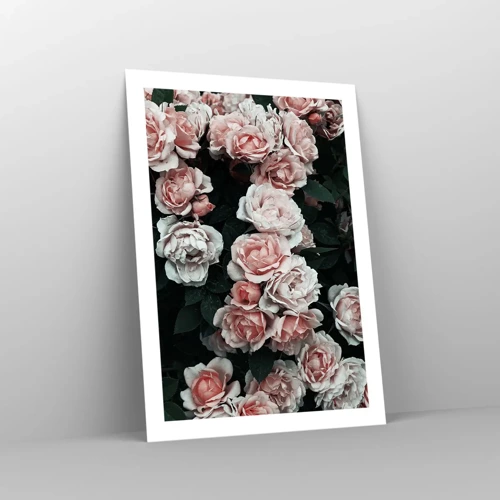 Affiche - Poster - Ensemble de rose - 50x70 cm