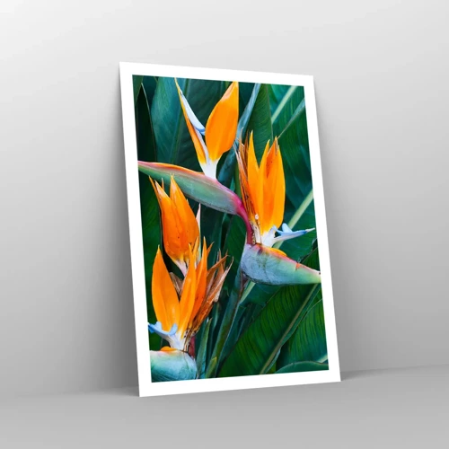 Affiche - Poster - Est-ce une fleur, est-ce un oiseaux? - 61x91 cm