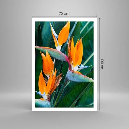 Affiche - Poster - Est-ce une fleur, est-ce un oiseaux? - 70x100 cm