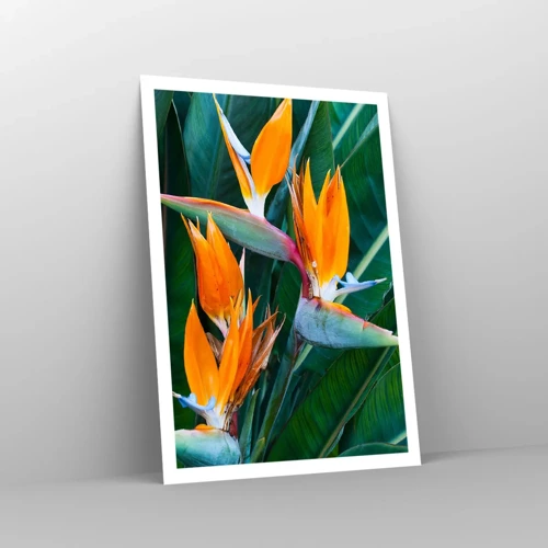 Affiche - Poster - Est-ce une fleur, est-ce un oiseaux? - 70x100 cm